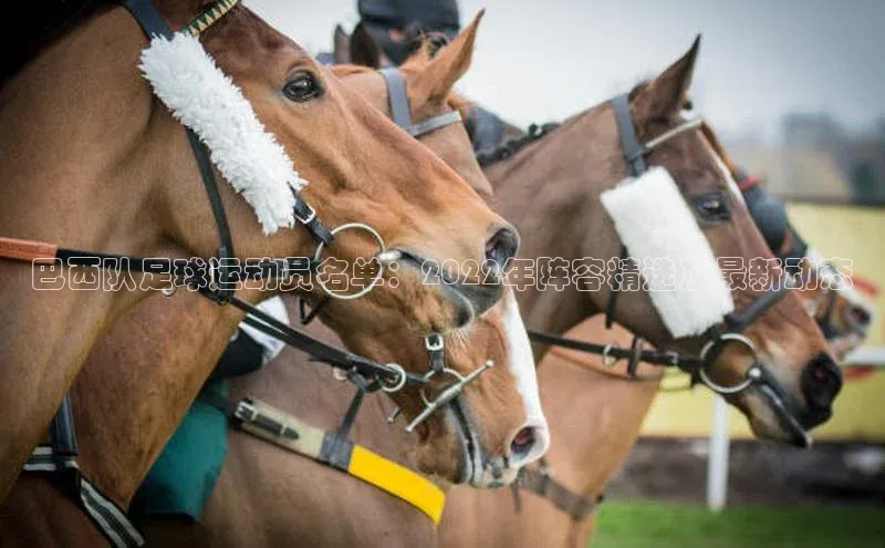 8868体育在线官网百度数据开放平台巴西队足球运动员名单：2022年阵容精选及最新动态