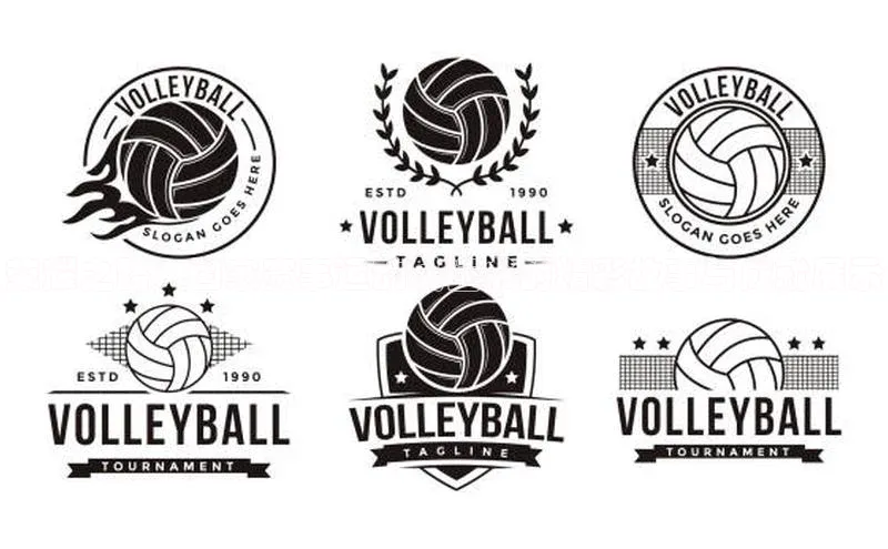 8868体育网站入口手机版遥望科技荣耀之路：国家赛事运动员证书的精彩故事与成就展示