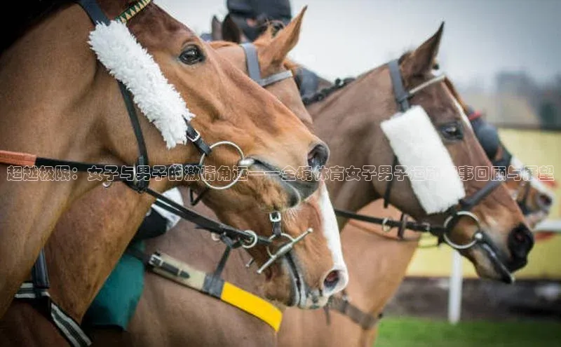 超越极限：女子与男子的激情角逐——全境体育女子男子运动赛事回顾与展望