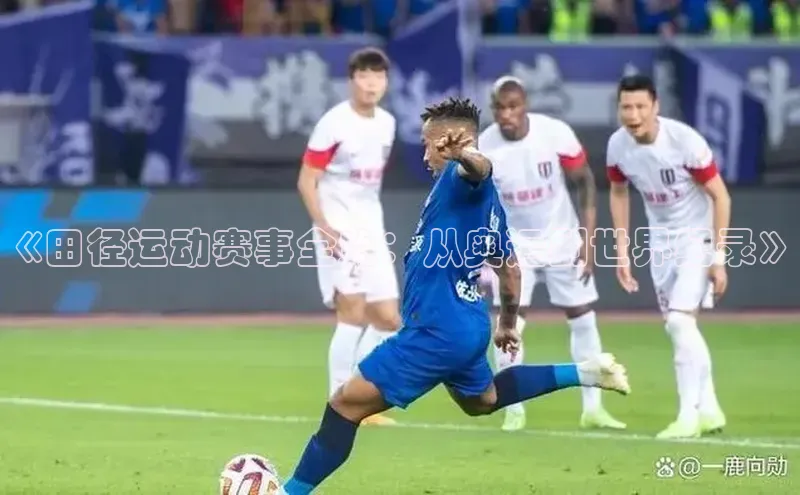 《田径运动赛事全览：从奥运到世界纪录》