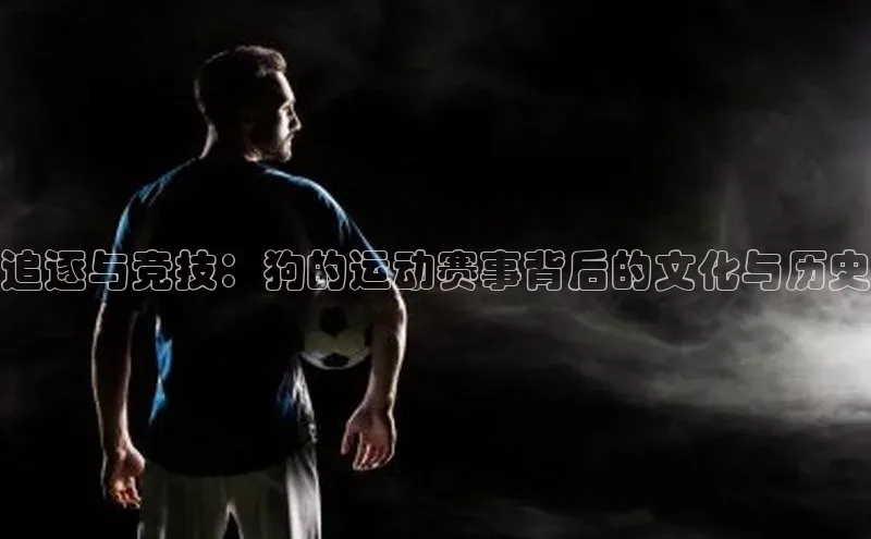 追逐与竞技：狗的运动赛事背后的文化与历史