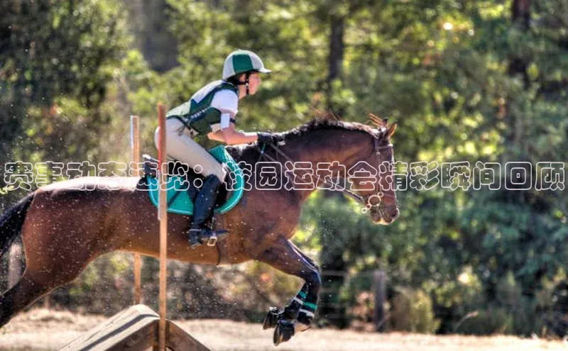 赛事动态速览：校园运动会精彩瞬间回顾