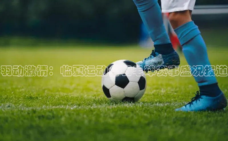 羽动激情：临夏运动会羽毛球赛事盛况报道