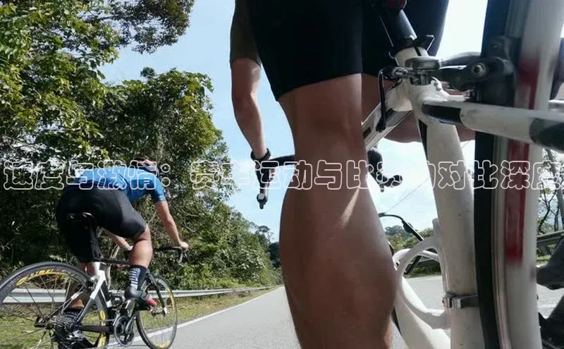 速度与激情：赛车运动与比赛的对比深度