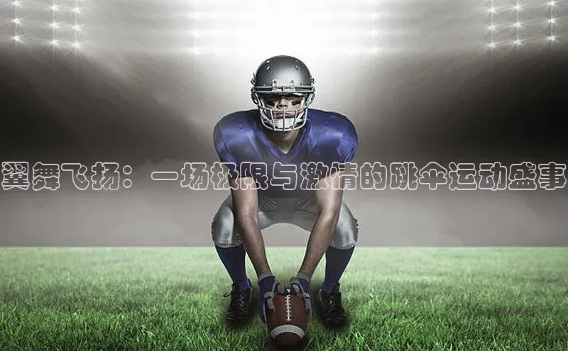 翼舞飞扬：一场极限与激情的跳伞运动盛事