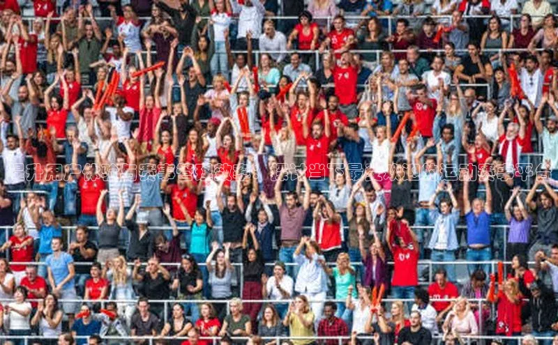 提升用户体验与赛事管理效率：探讨当下最受欢迎的运动赛事平台