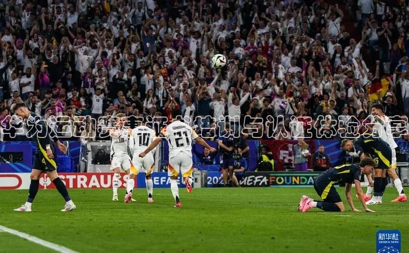 华为运动赛事证书培训与认证体验分享