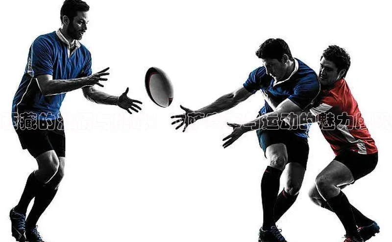 西藏的激情与挑战：拉萨赛事与运动的魅力展现