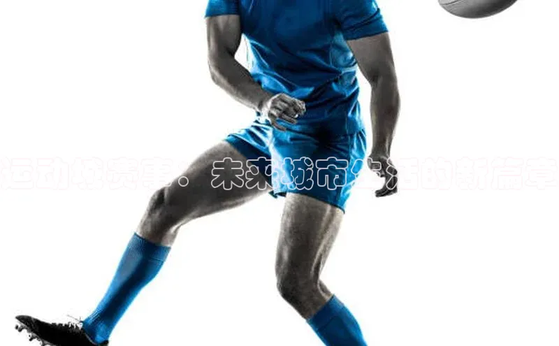 8868官方网站登录入口