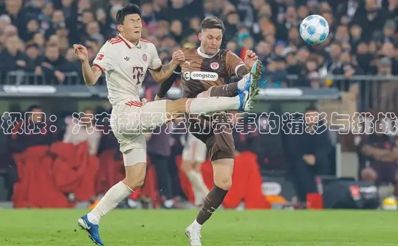 8868体育手机网页入口