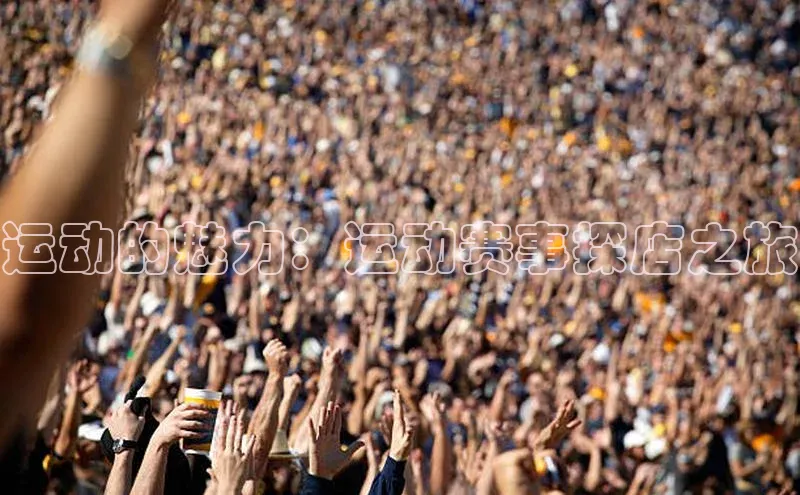 8868体育在线登录入口