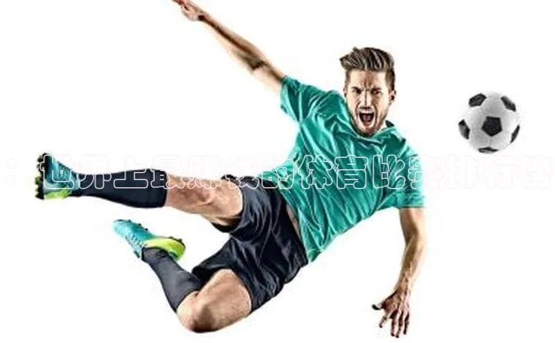 8868体育网页版入口