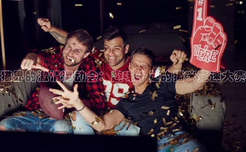 猫界的激情运动会：趣味十足的猫咪竞速大赛