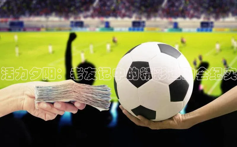 活力夕阳：老友记中的精彩运动会纪实